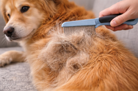 Painful Tangles & Mats